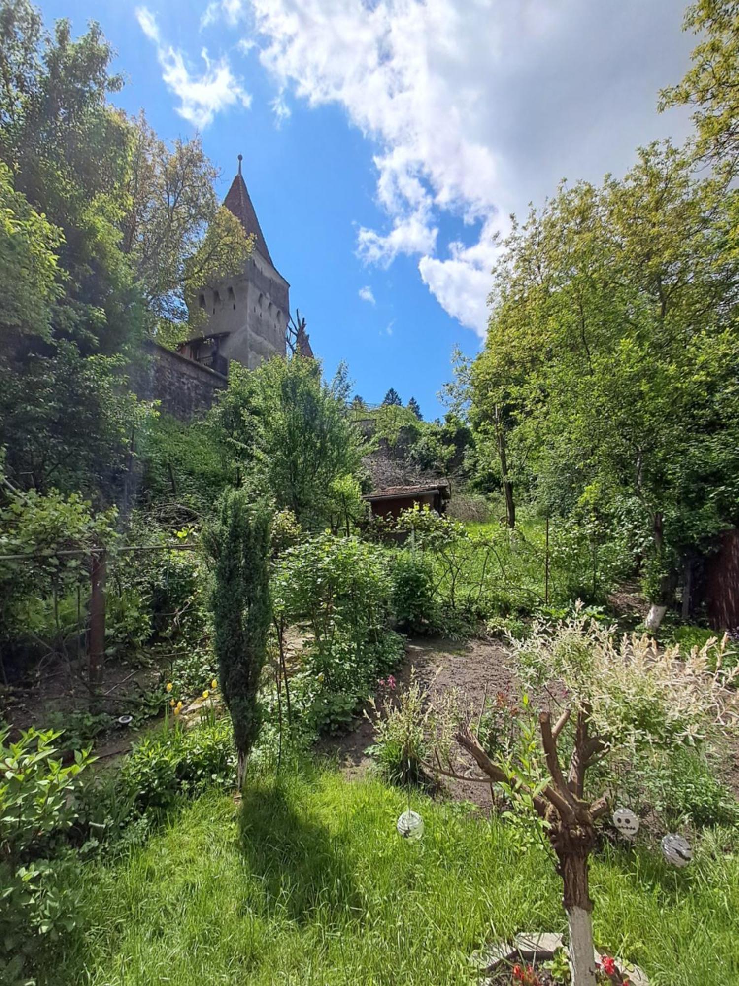 Appartamento Casa Adimi Sighişoara Esterno foto