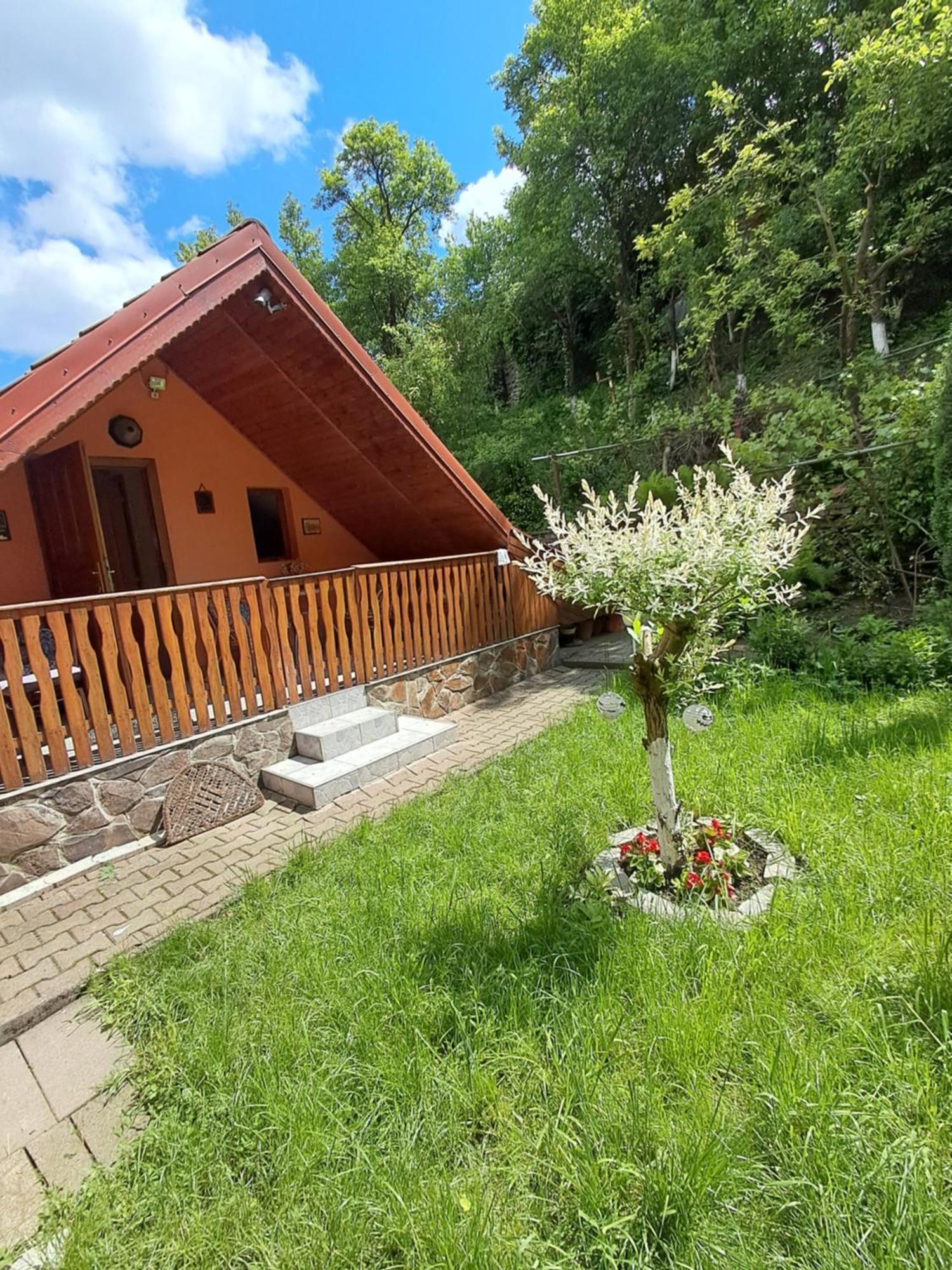 Appartamento Casa Adimi Sighişoara Esterno foto