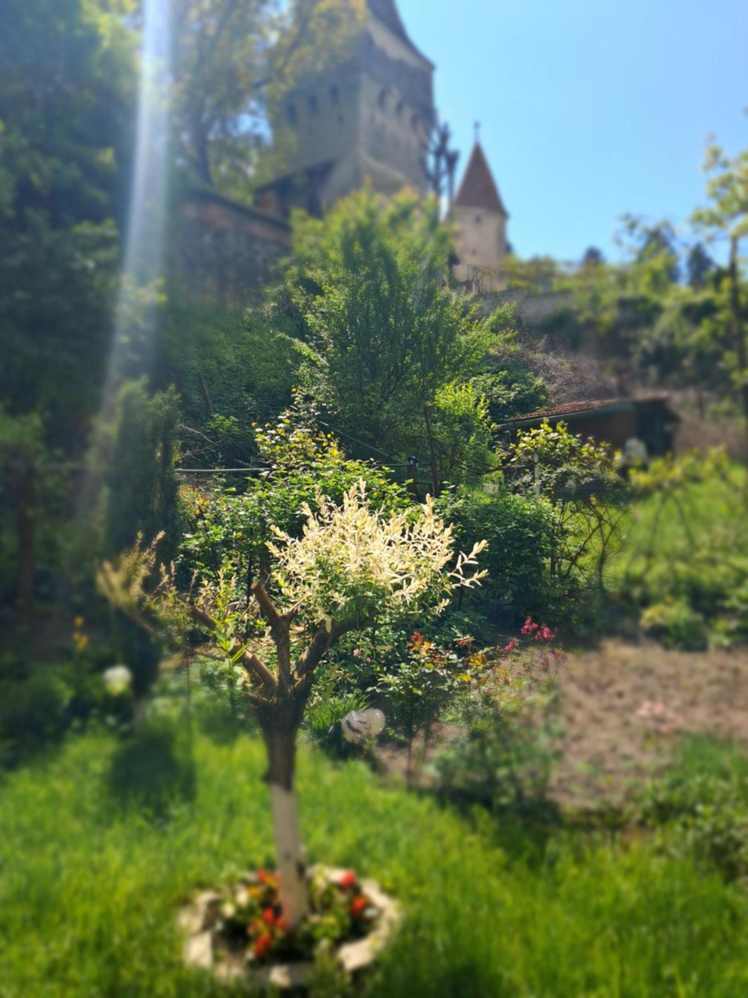 Appartamento Casa Adimi Sighişoara Esterno foto