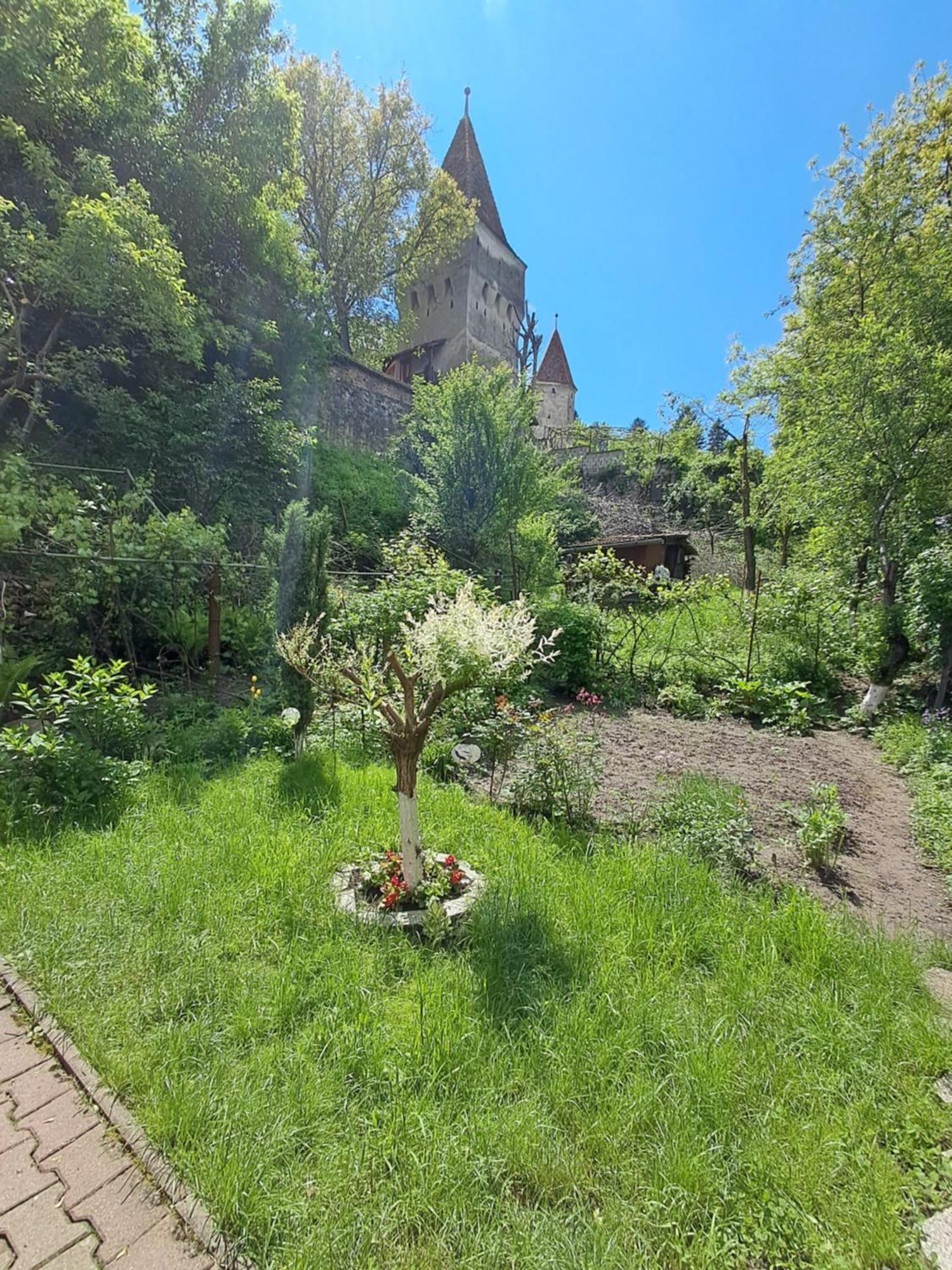 Appartamento Casa Adimi Sighişoara Esterno foto
